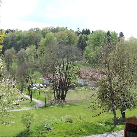 Ferienwohnung Waldoase Am Fuchsenstein Spiegelau Rum bild