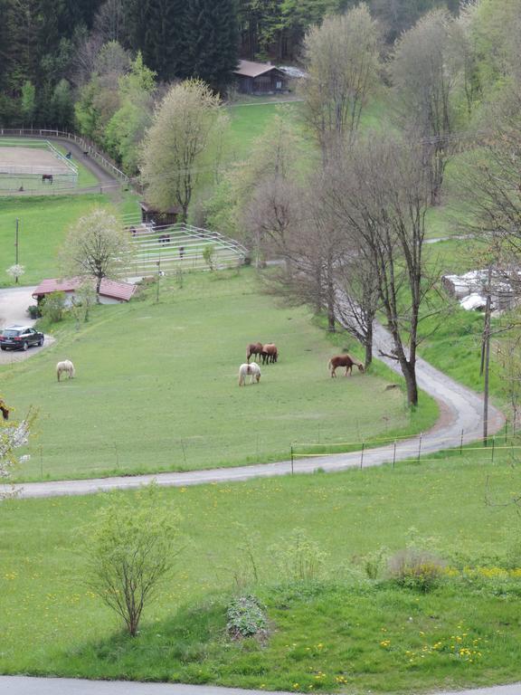Ferienwohnung Waldoase Am Fuchsenstein Spiegelau Exteriör bild