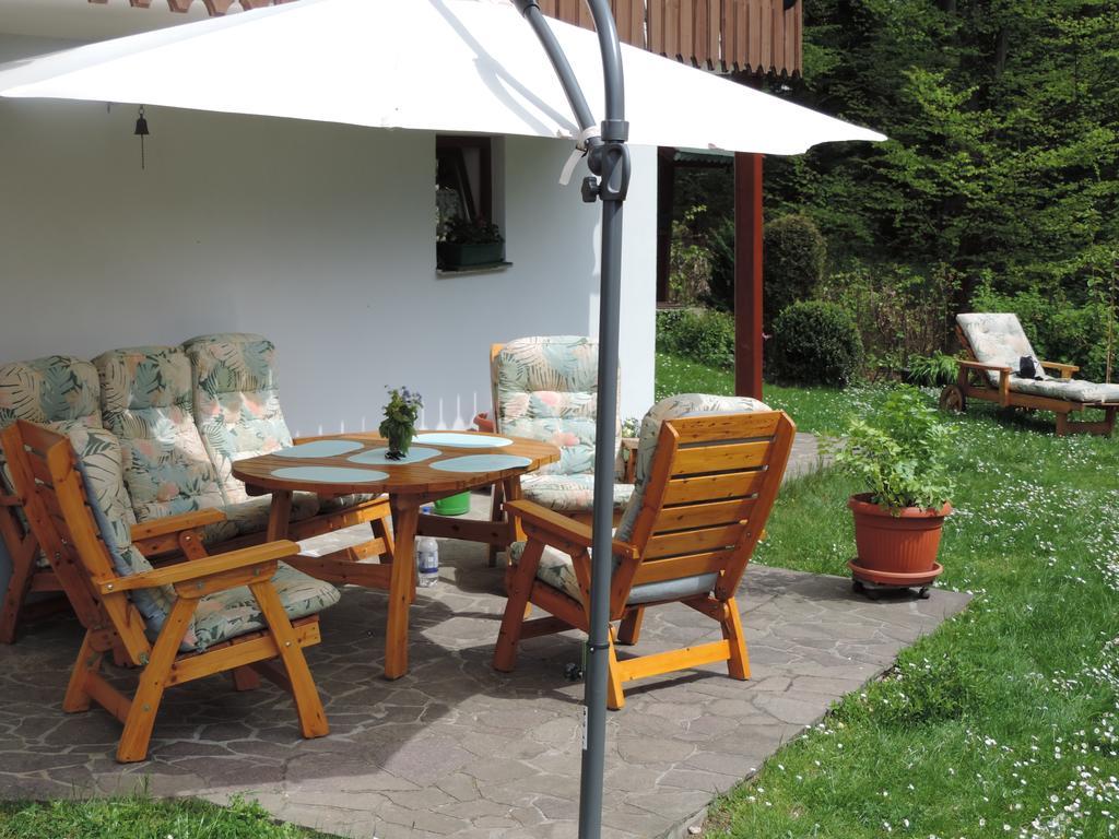 Ferienwohnung Waldoase Am Fuchsenstein Spiegelau Rum bild