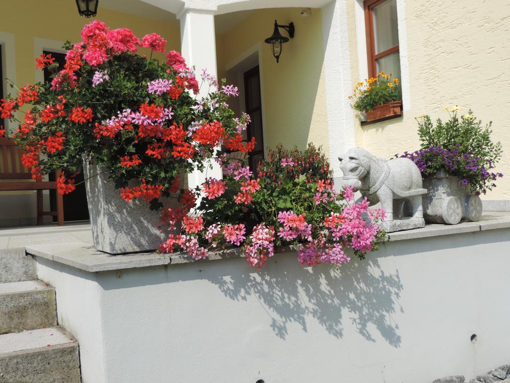 Ferienwohnung Waldoase Am Fuchsenstein Spiegelau Rum bild