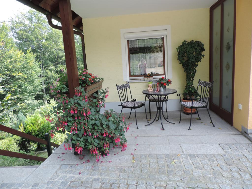 Ferienwohnung Waldoase Am Fuchsenstein Spiegelau Rum bild