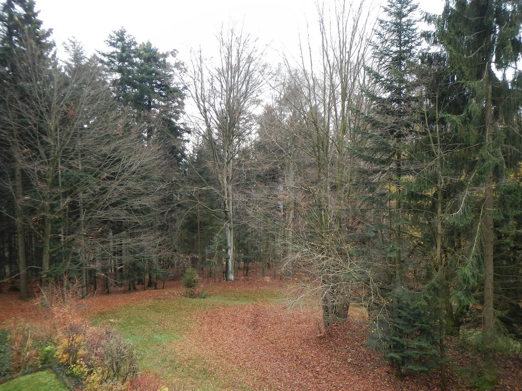 Ferienwohnung Waldoase Am Fuchsenstein Spiegelau Exteriör bild