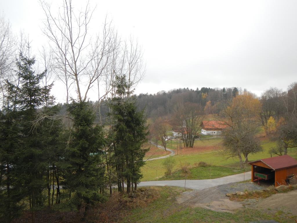 Ferienwohnung Waldoase Am Fuchsenstein Spiegelau Exteriör bild