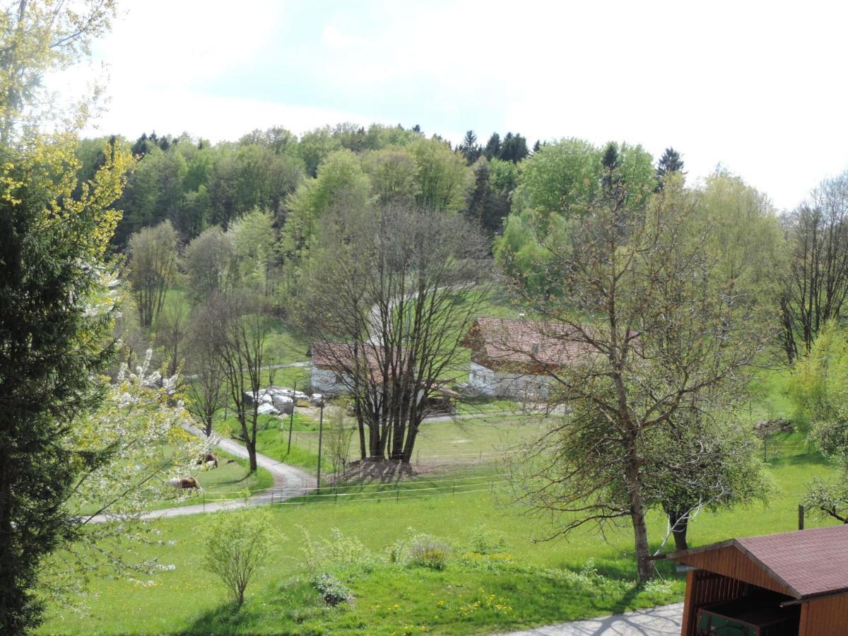 Ferienwohnung Waldoase Am Fuchsenstein Spiegelau Rum bild